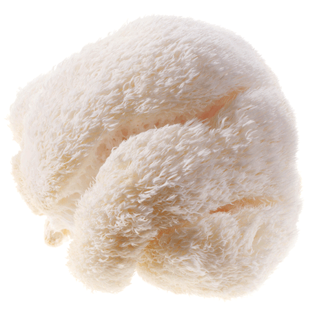 Ciuperci Pom Pom
